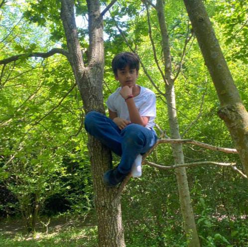 Contemplating