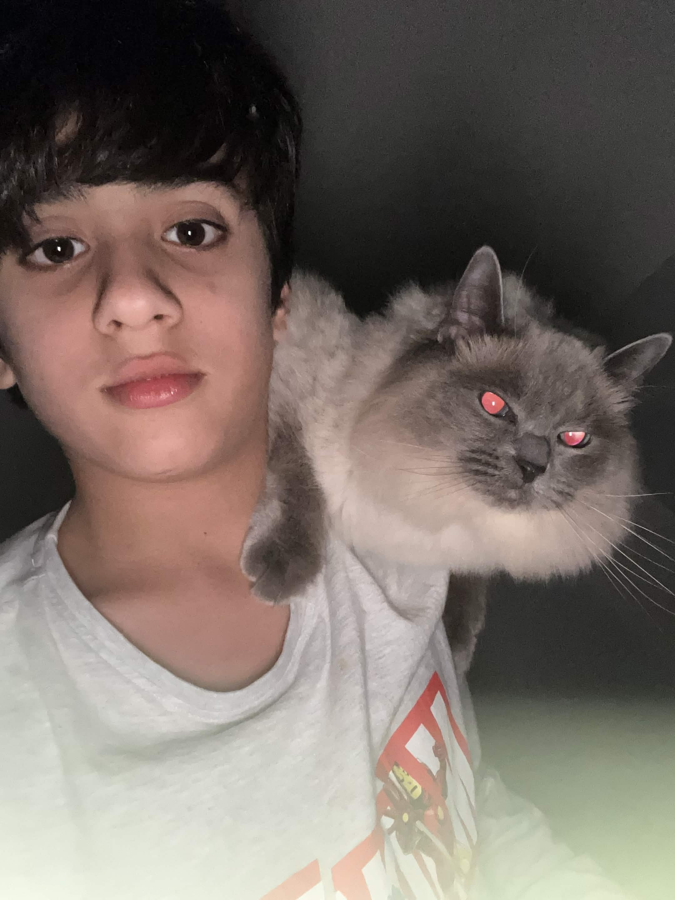 Kitty